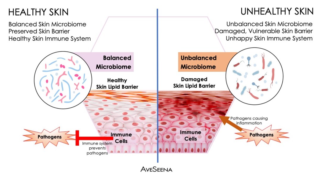 skin secrets 7 layers of skin